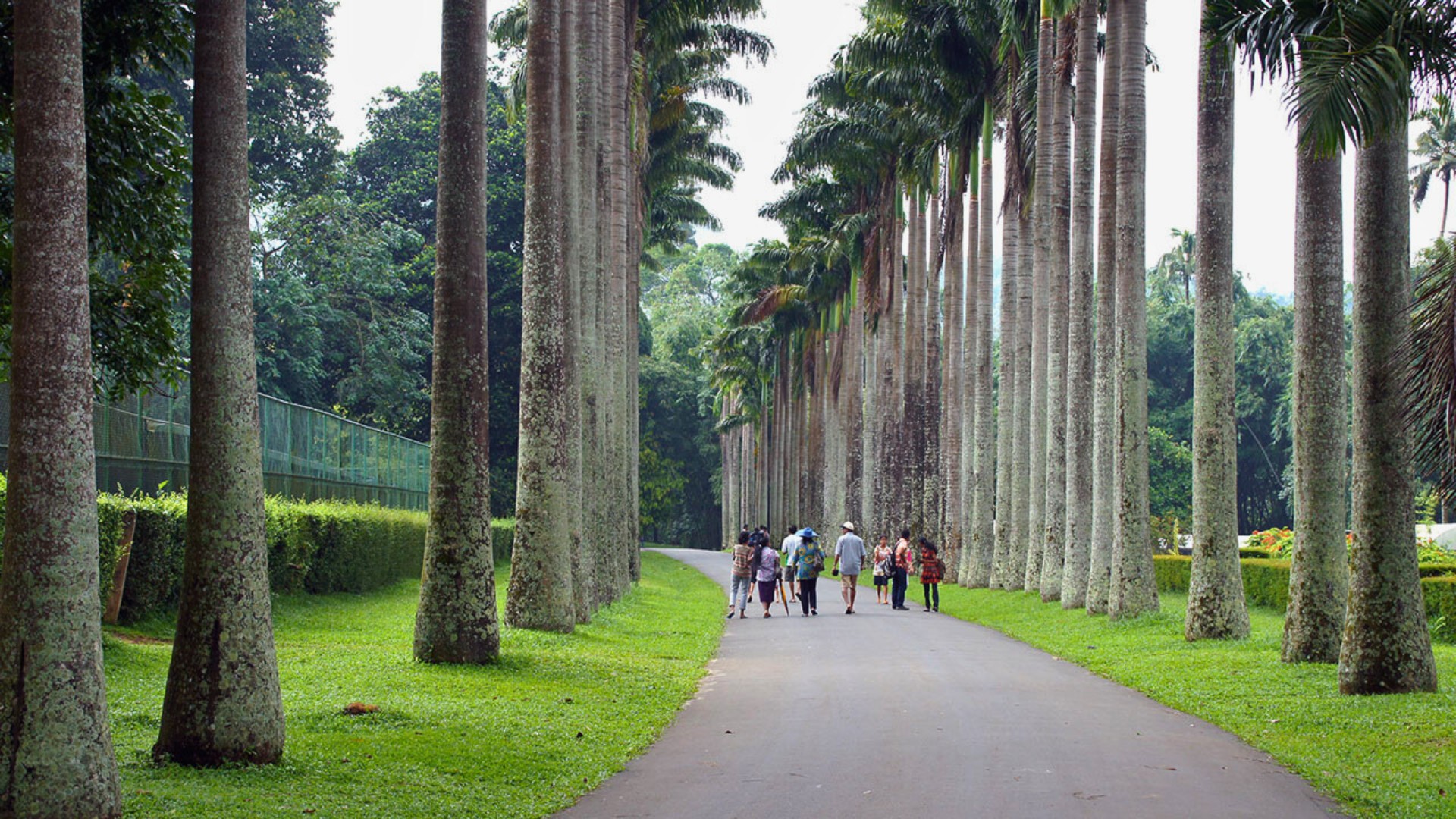 Kandy Tooth Relic: A Sacred Treasure