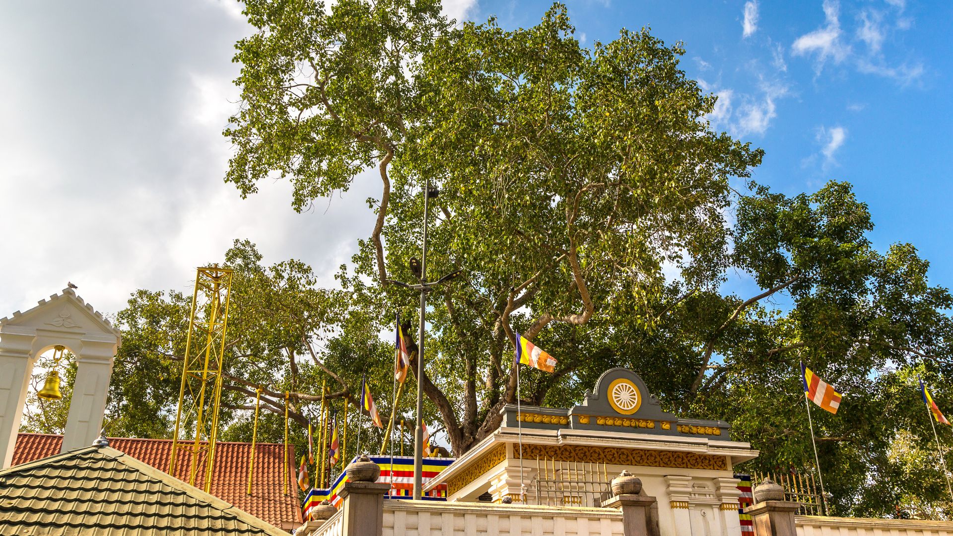 Anuradhapura: The Ancient Heartbeat of Buddhist Heritage in Sri Lanka