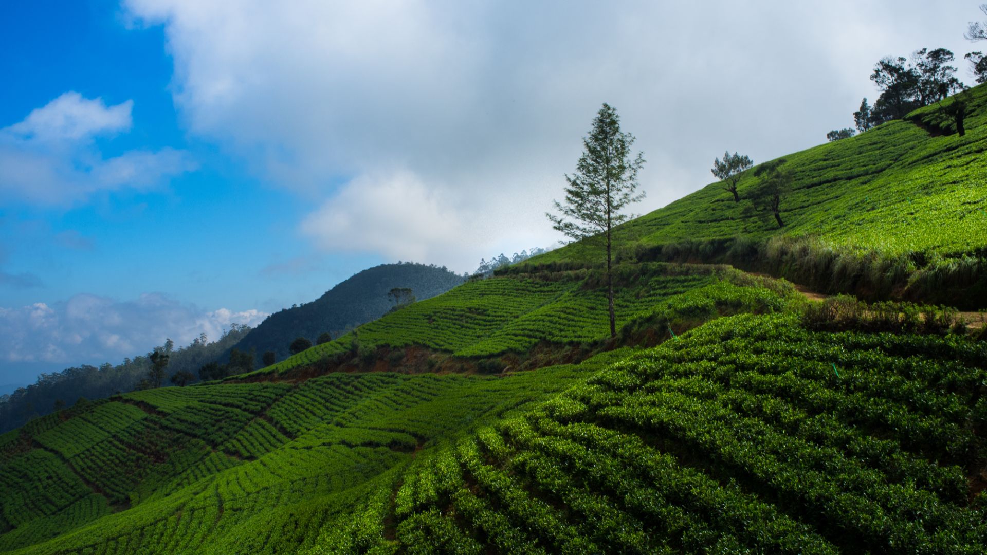 Little England: Nuwara Eliya Waterfalls and Charm