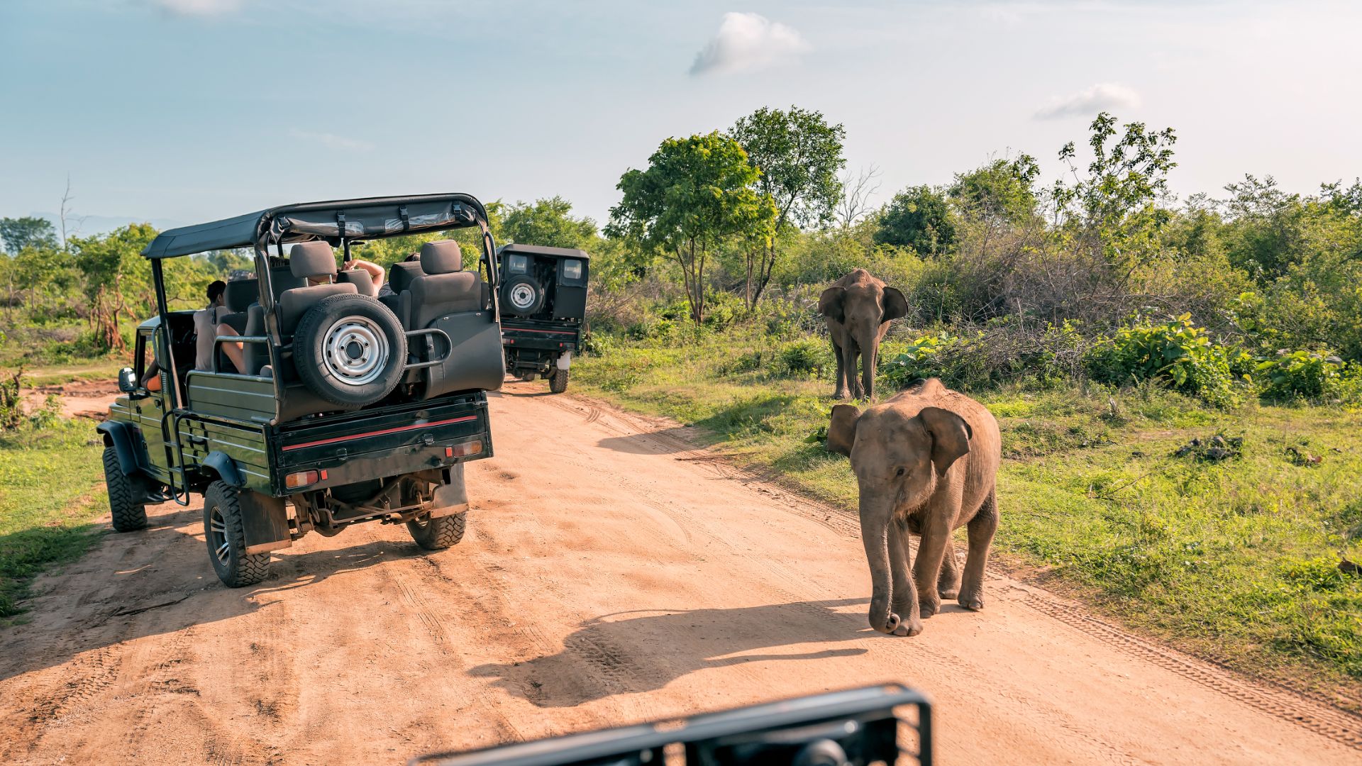 Yala National Park: A Wildlife Wonderland in Sri Lanka