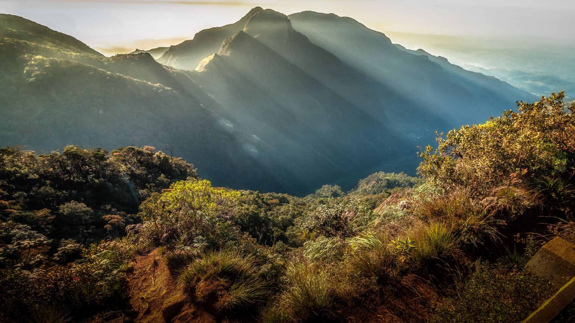  Horton Plains: A Natural Wonderland